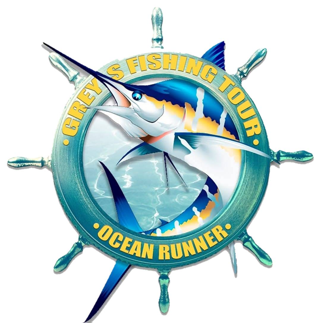 Quepos Grey Fishing